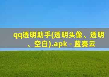 qq透明助手(透明头像、透明、空白).apk - 蓝奏云